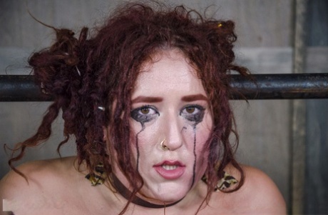 bbw thecoli free galleries
