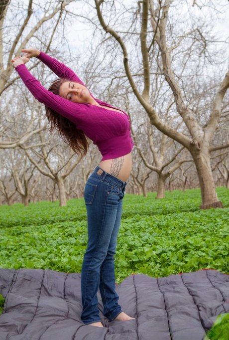 plastic bbw free image
