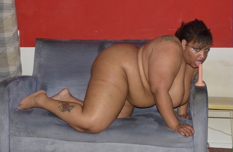 bani pqkisyan curvy babe girl hd pic