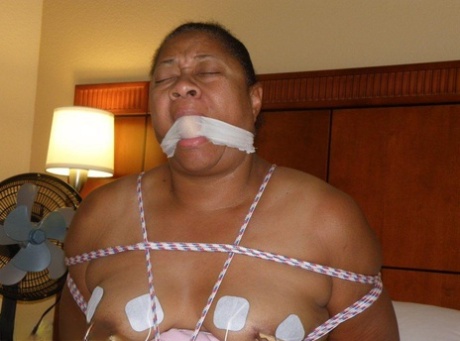 bbw cult hot xxx gallery