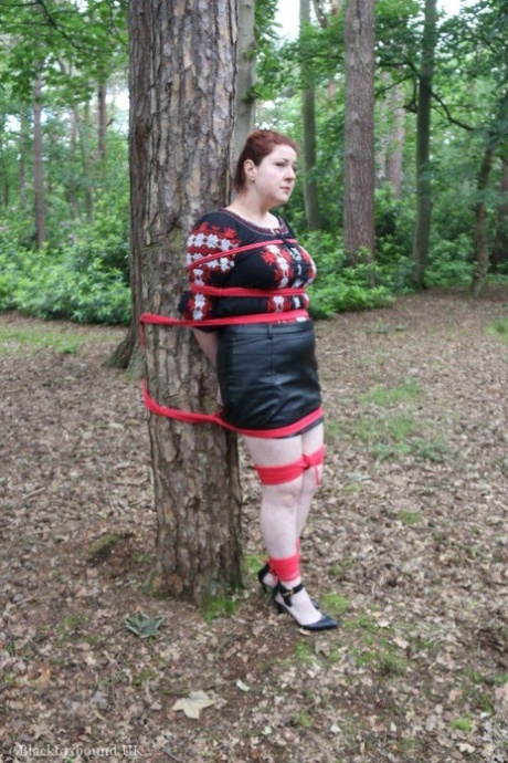 massachusetts bbw escort job perfect pictures