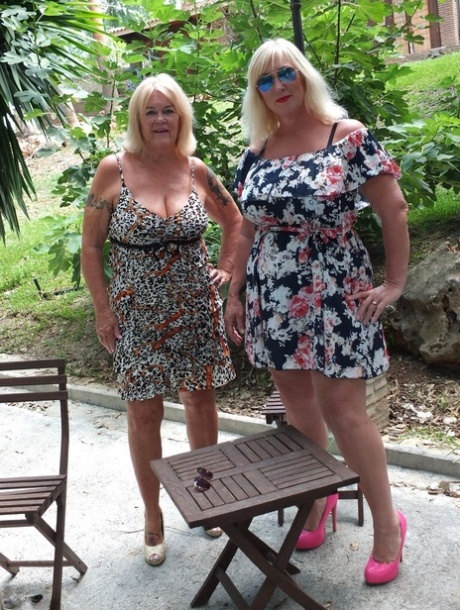 thick vs dick free xxx archive