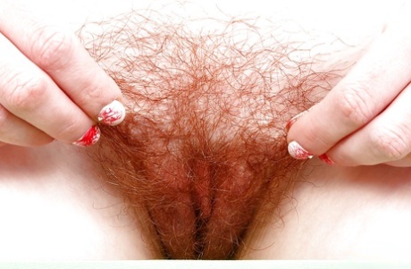 naked chubby bear penis beautiful nude pics