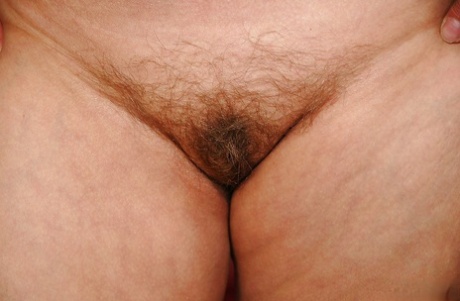 real homemade ebony bbw pornographic galleries