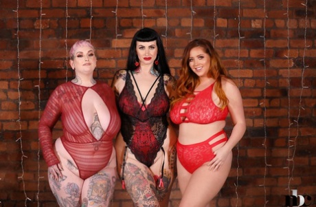 open pussy bbw fat belly art naked image