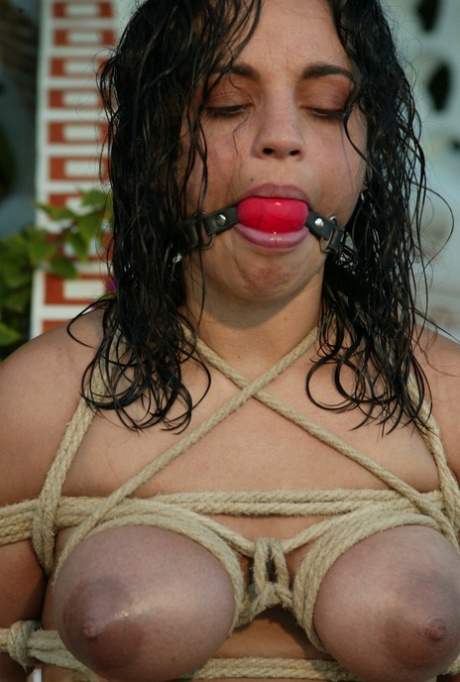 nice thick sex photos
