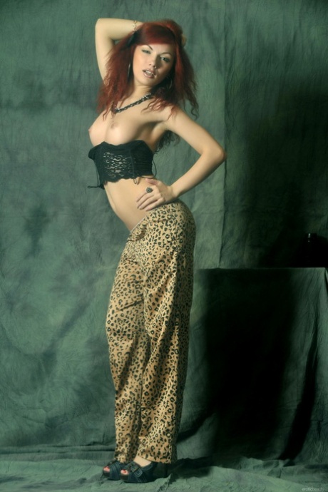 Diana Siefert sex pornstar galleries