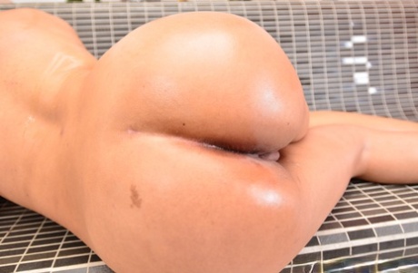 free porn bbw passwords art nude pics