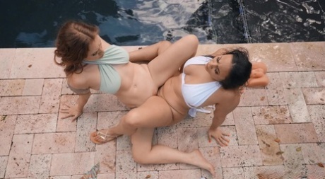 bbw creampie homemade free porn archive
