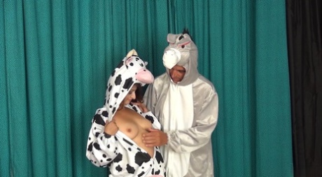 fat rabbit free xxx photos