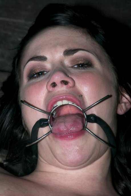 bbw wife s pornographic pictures