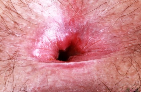 bbw cannibal free image