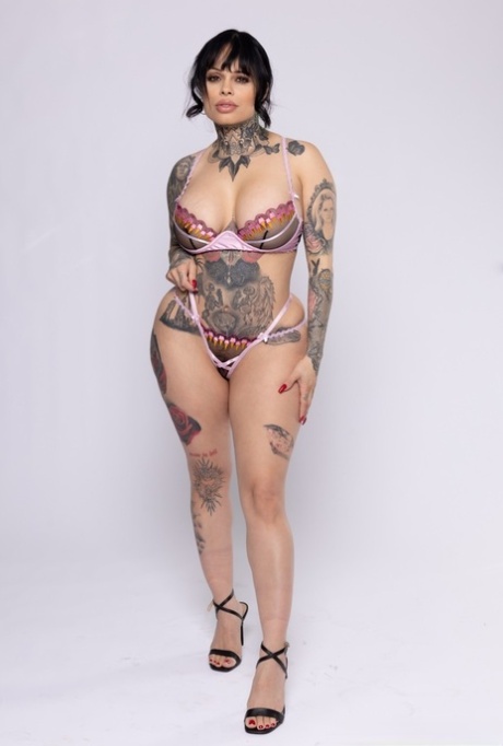 thick stallion adult images