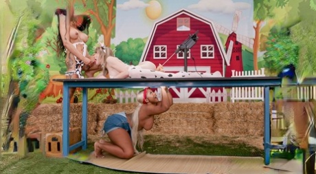 samantha kay bbw top photo