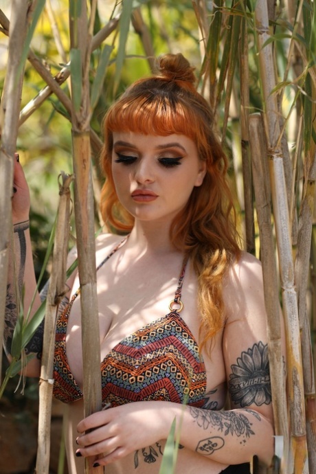 thin walls, thick cock free img