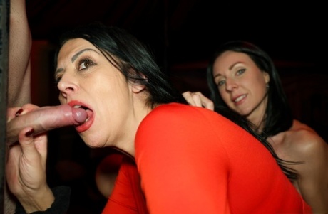 curvy tight clothes free img